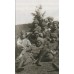 Шапка для личного состава «Русской армии адмирала Колчака», обр. 1919 г.